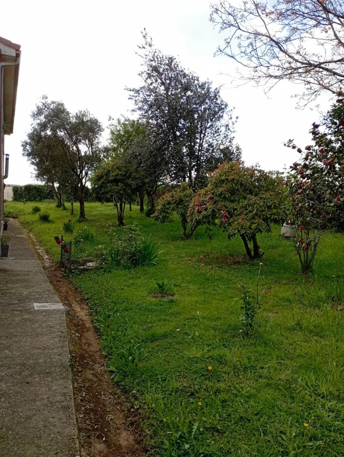A Casa Do San Paio De Buscas Apartment Ordes Exterior foto